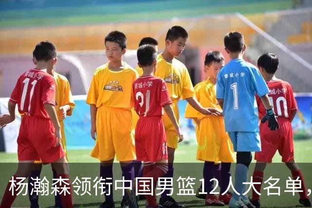 杨瀚森领衔中国男篮12人大名单，明日将在沈阳对阵日本男篮